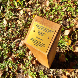 eticor-Contentbild-Baumaktion1-400x400